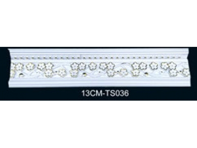 13CM-TS036