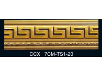 CCX7CM-TS1-20