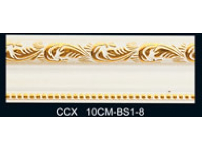 CCX10CM-BS1-8