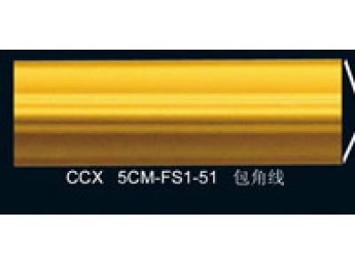 CCX5CM-FS1-51