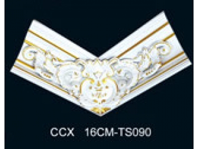 CCX16CM-TS090