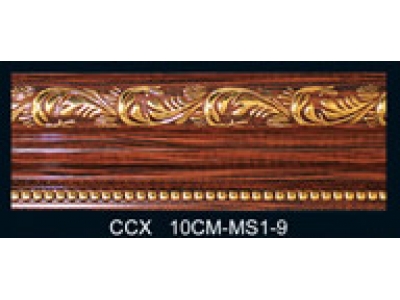 CCX10CM-MS1-9