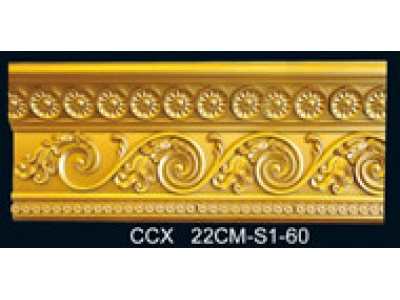 CCX22CM-S1-60