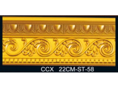 CCX22CM-ST-58