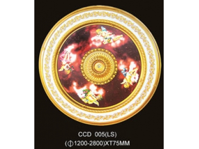 CCD005(LS)