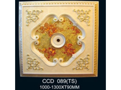 CCD089(TS)