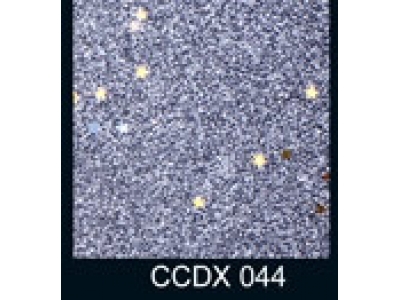 CCDX044