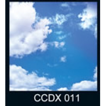 CCDX011