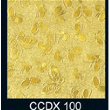 CCDX100