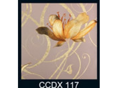 CCDX117