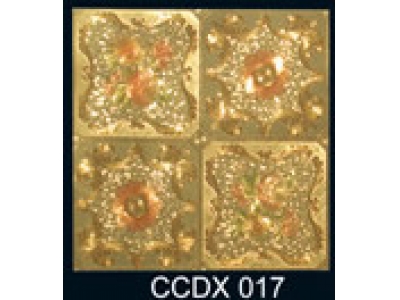 CCDX017