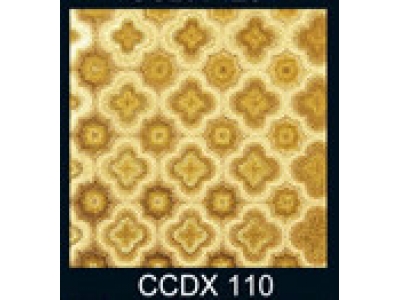 CCDX110