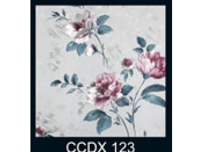 CCDX123