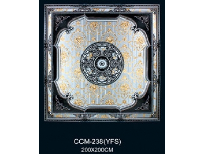 CCM-238(YFS)