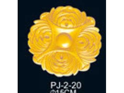 PJ-2-20